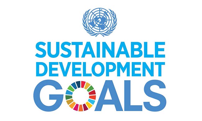 SDGS Can Inspire Innovation, Growth: UN Official